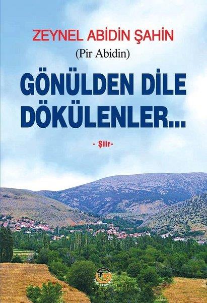 Zeynel Abidin ŞahinTürk ŞiiriGönülden Dile Dökülenler