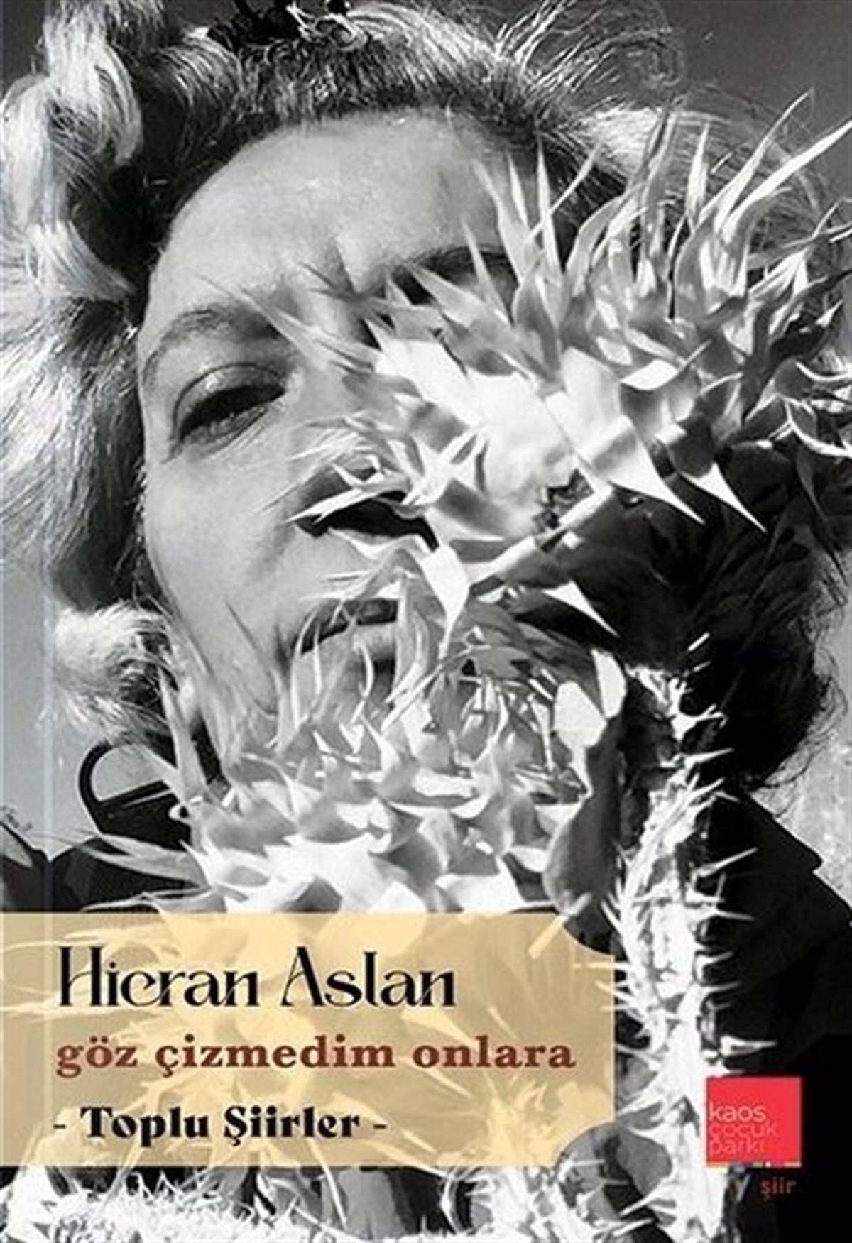 Hicran AslanTürk ŞiiriGöz Çizmedim Onlara - Toplu Şiirler