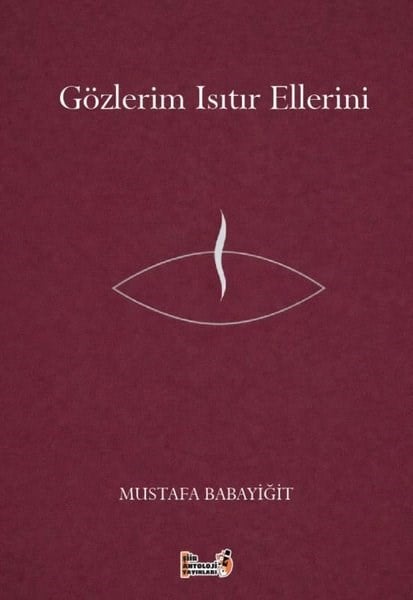 Mustafa BabayiğitTürk ŞiiriGözlerim Isıtır Ellerini