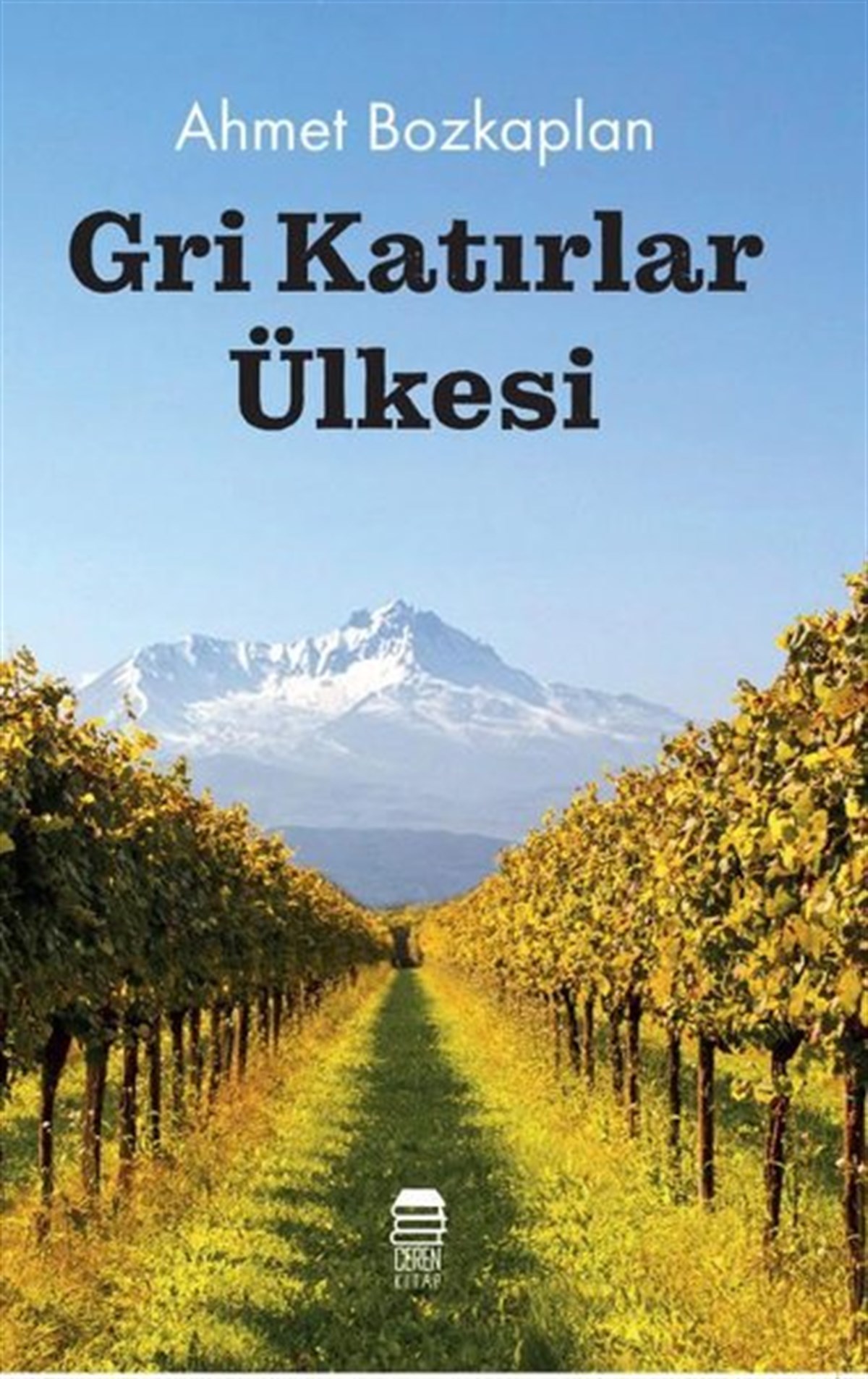 Ahmet BozkaplanTürkiye RomanGri Katırlar Ülkesi