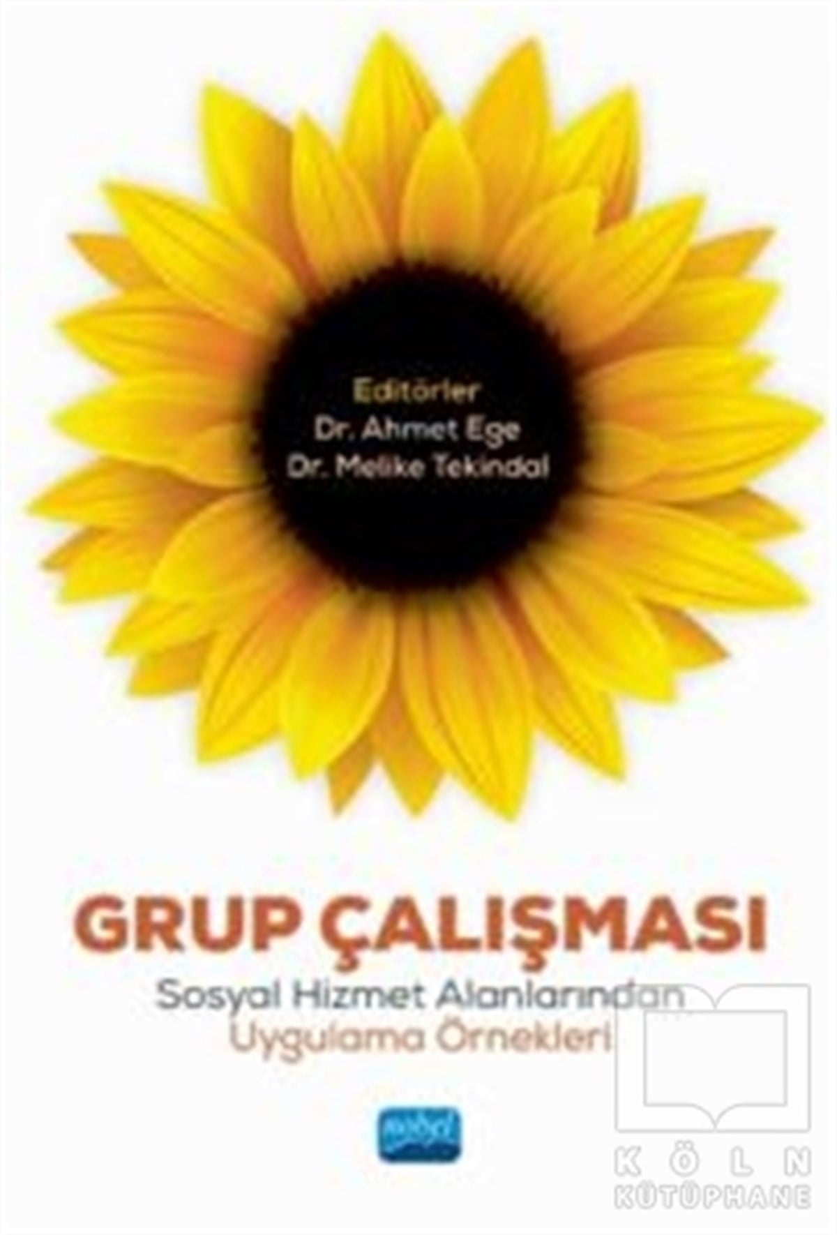 Grup Çalışması: Sosyal Hizmet Alanlarından Uygulama Örnekleri