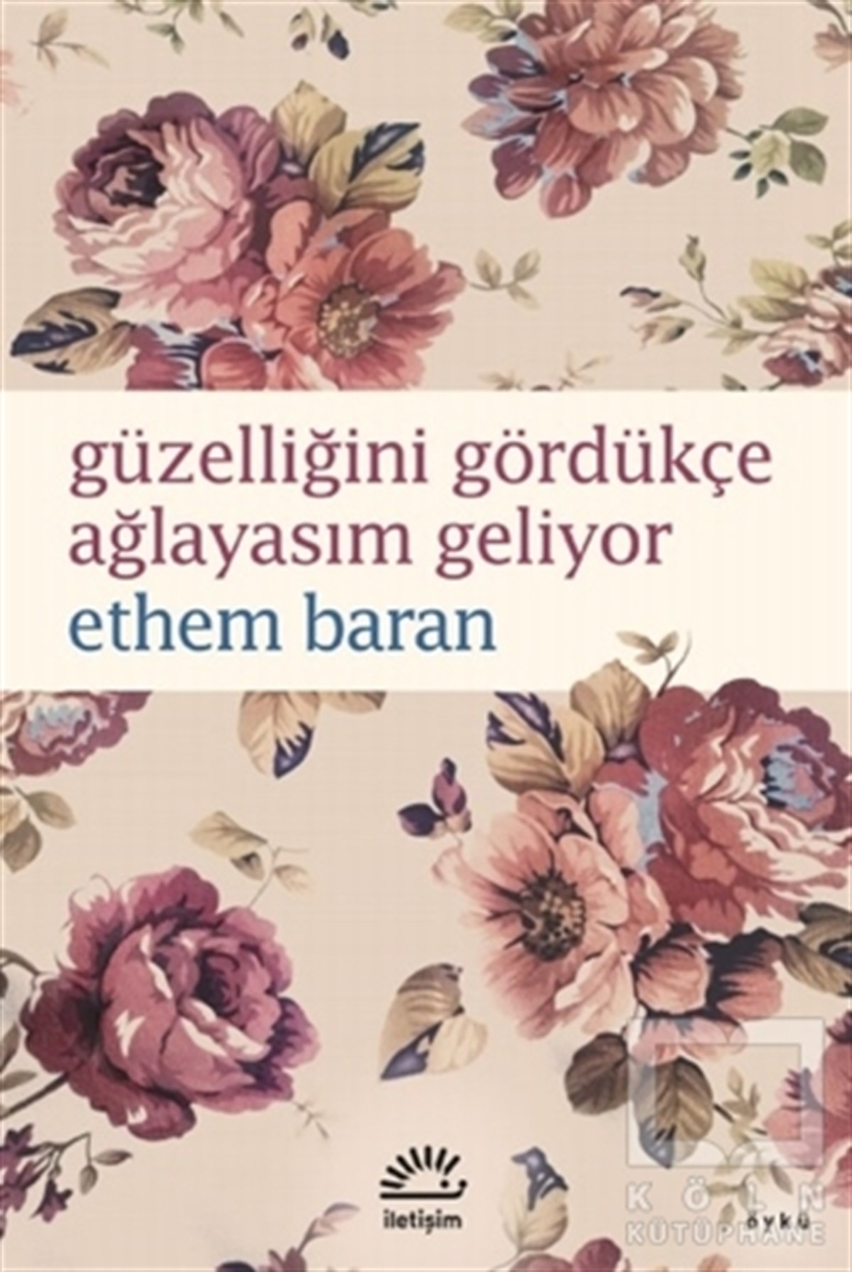 Ethem BaranHikaye (Öykü) KitaplarıGüzelliğini Gördükçe Ağlayasım Geliyor