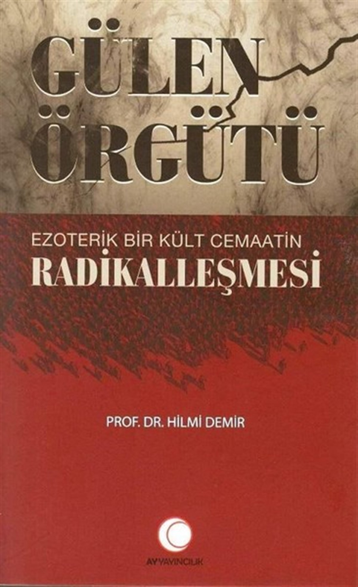 Hilmi DemirTürkiye Siyaseti ve Politikası KitaplarıGülen Örgütü