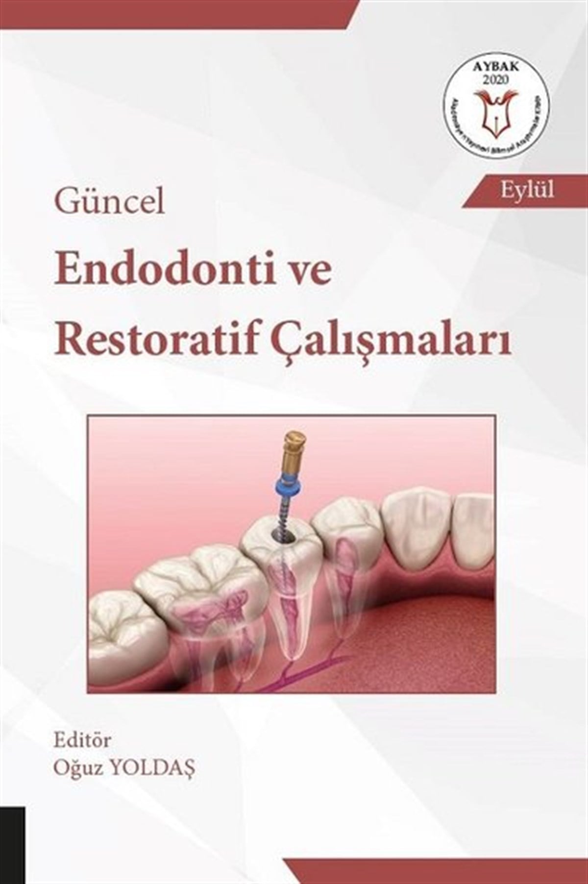 KolektifEğitimGüncel Endodonti ve Restoratif Çalışmaları
