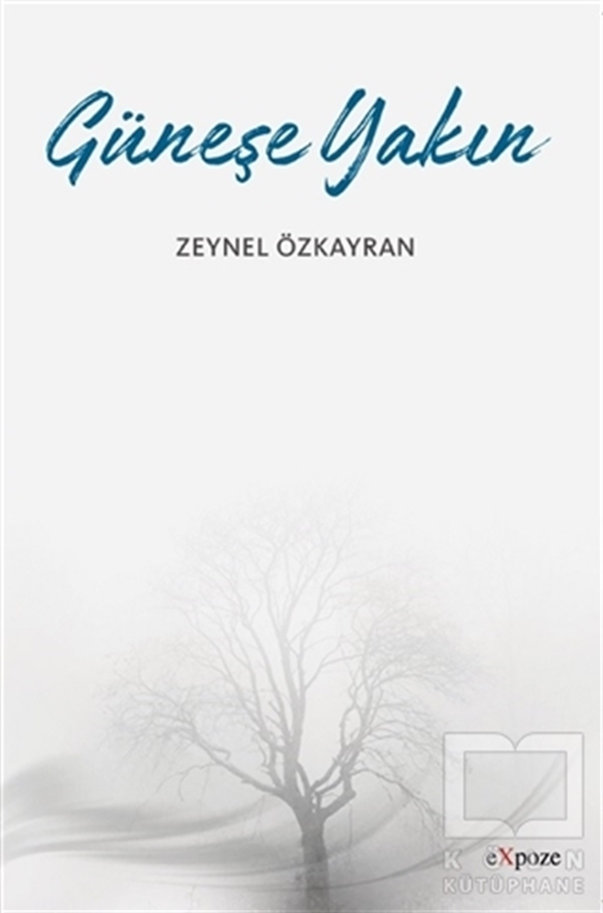 Zeynel ÖzkayranŞiirGüneşe Yakın