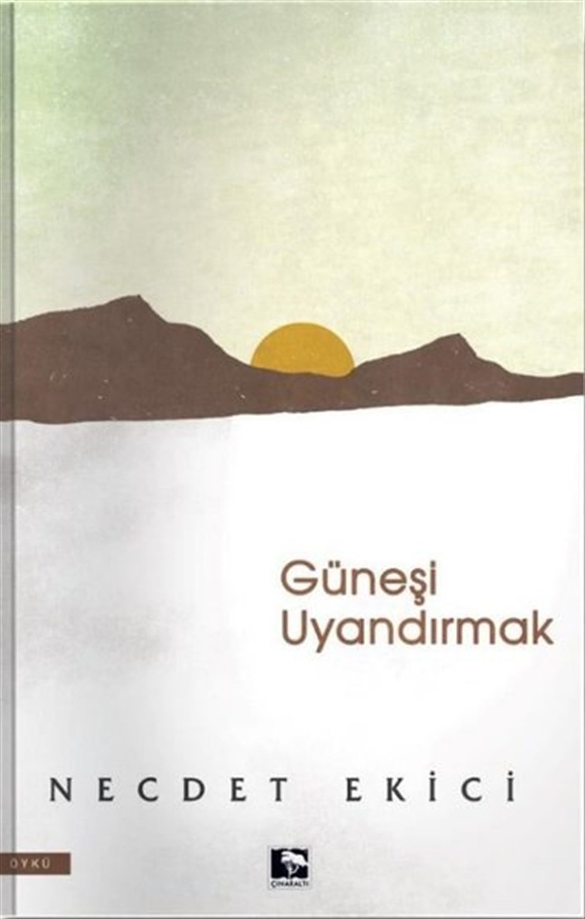 Necdet EkiciTürkiye RomanGüneşi Uyandırmak