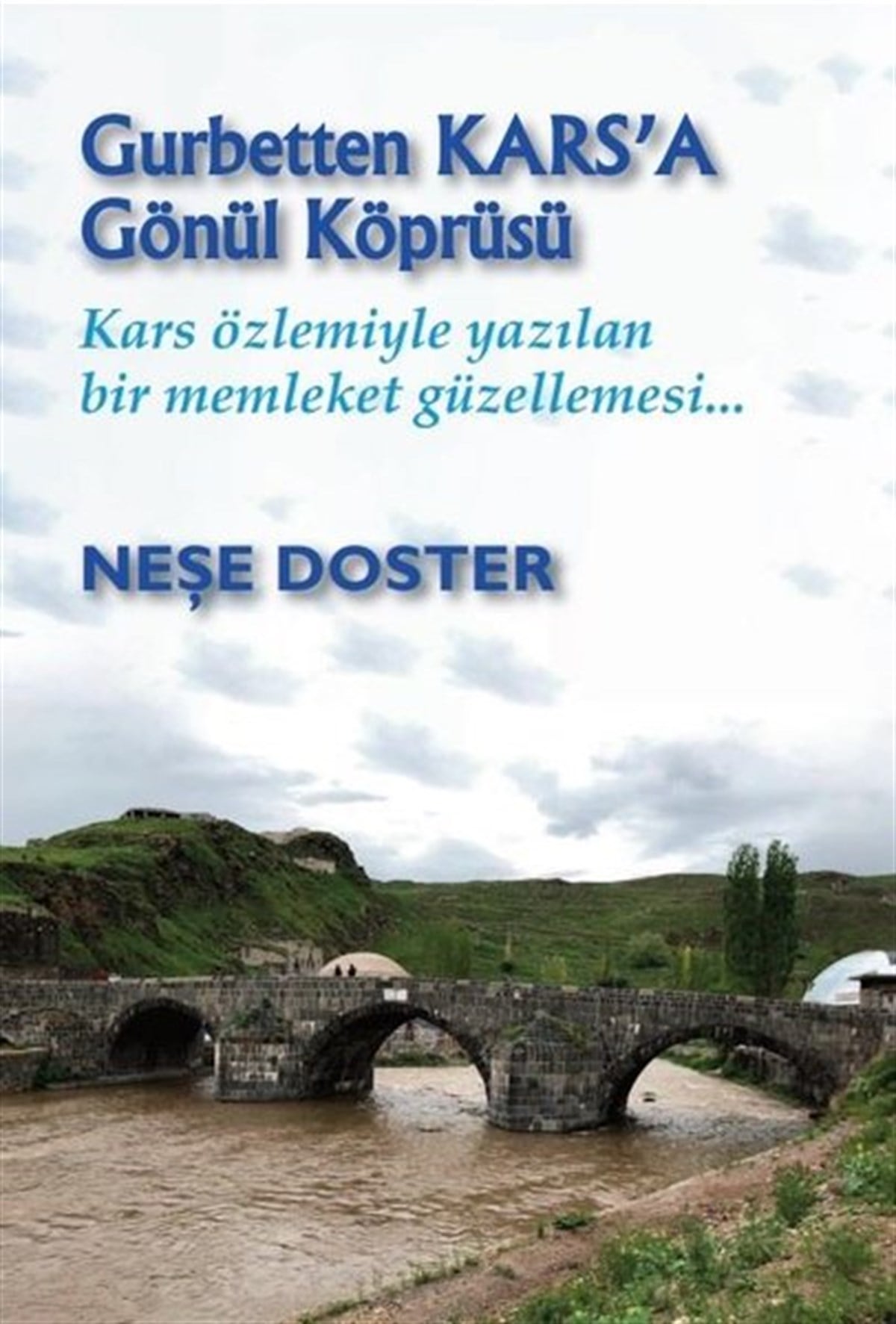 Neşe DosterDeneme KitaplarıGurbetten Kars'a Gönül Köprüsü