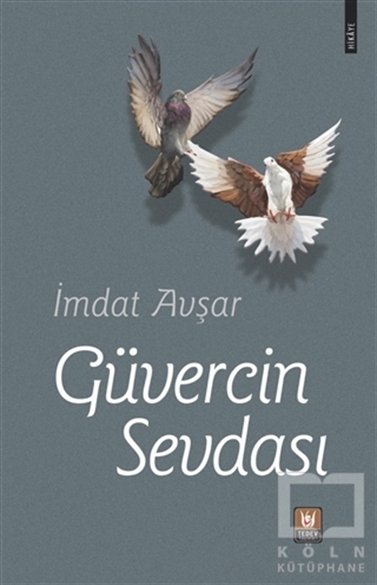 Güvercin Sevdası
