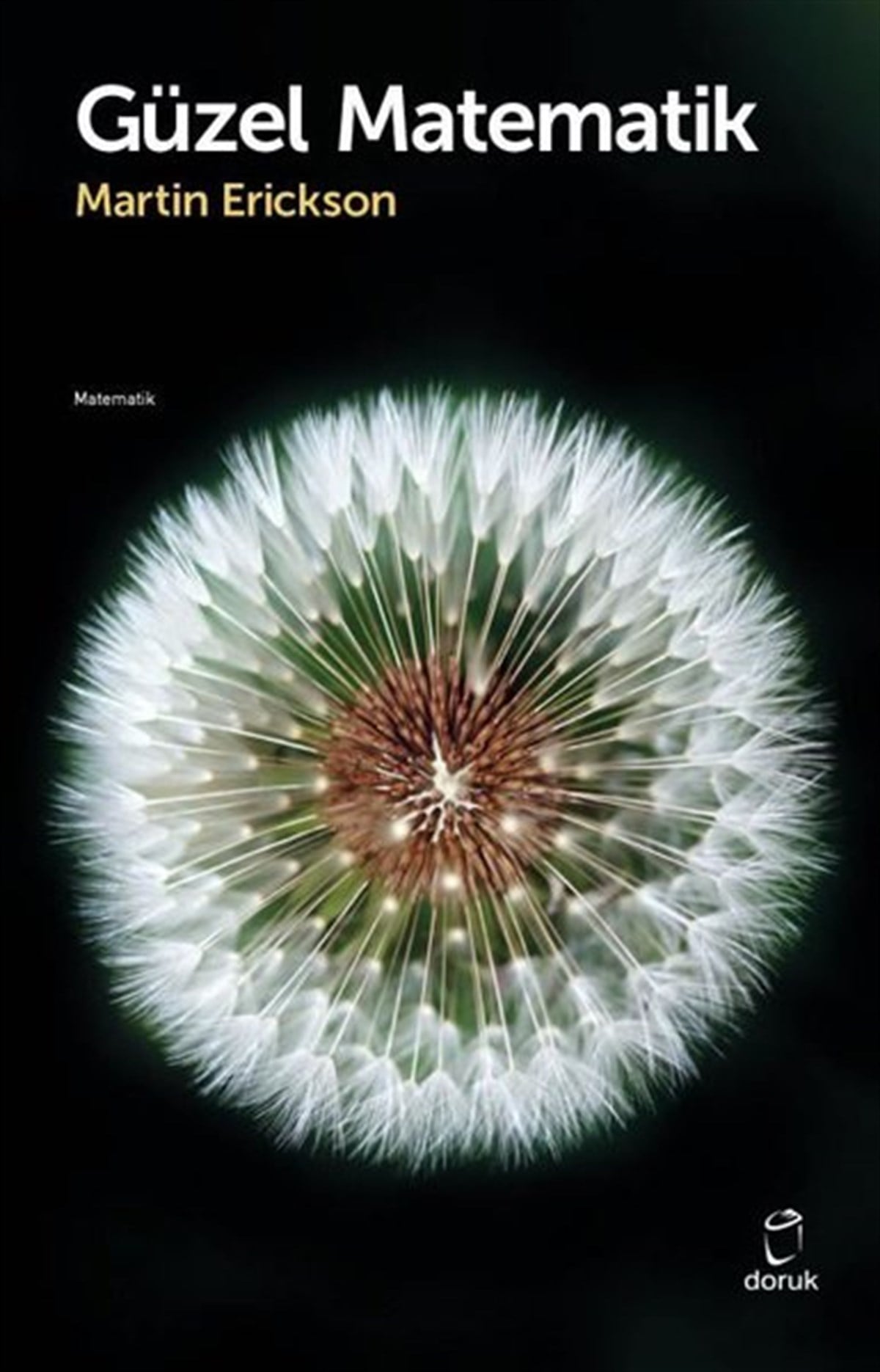 Martin EricksonMatematik KitaplarıGüzel Matematik