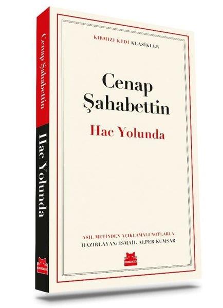 Cenap ŞahabettinSeyahatname