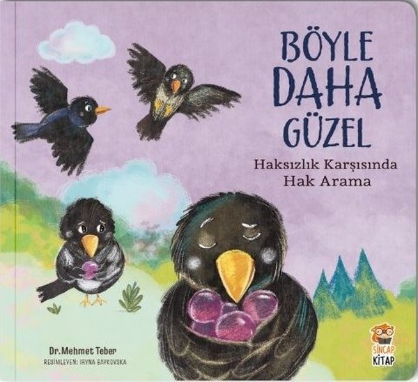 Mehmet TeberEgitim Etkinlik KitaplariHaksızlık Karşısında Hak Arama - Böyle Daha Güzel