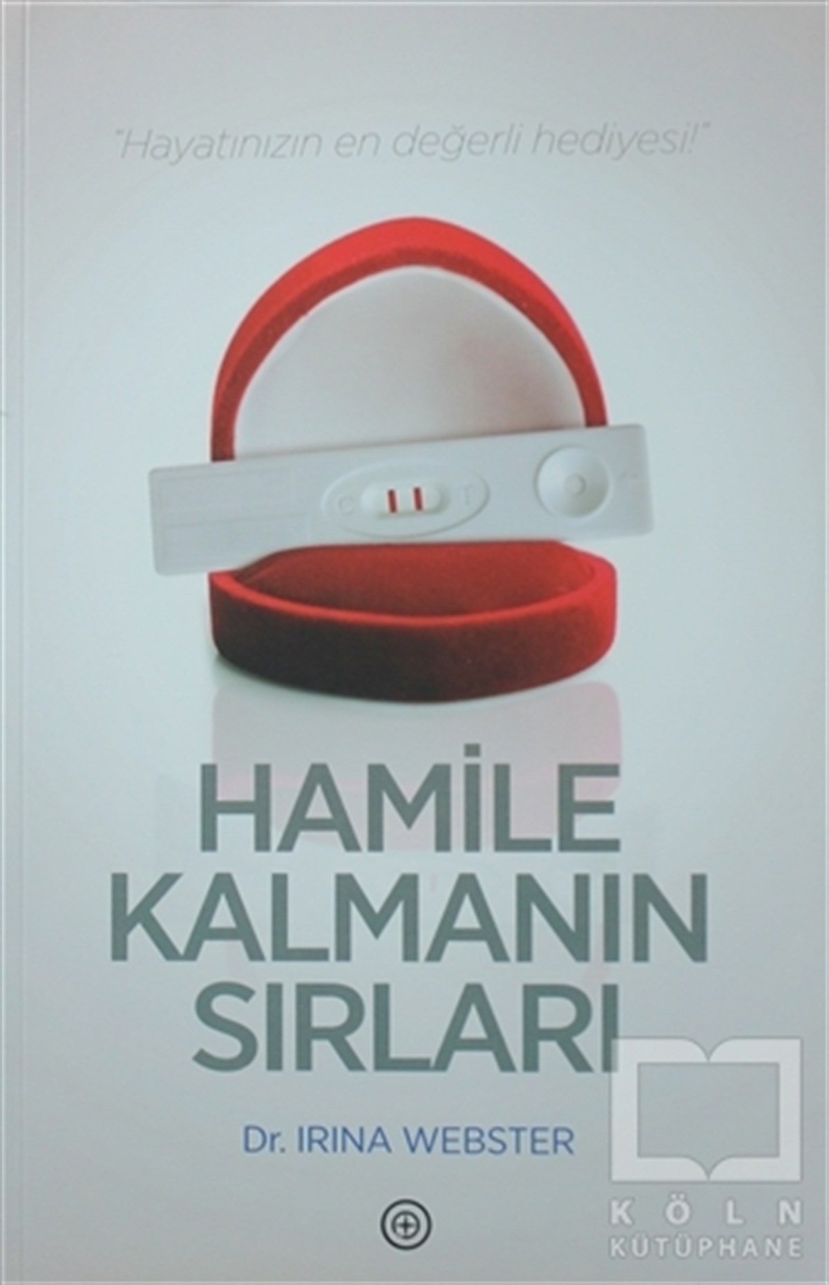 Hamile Kalmanın Sırları