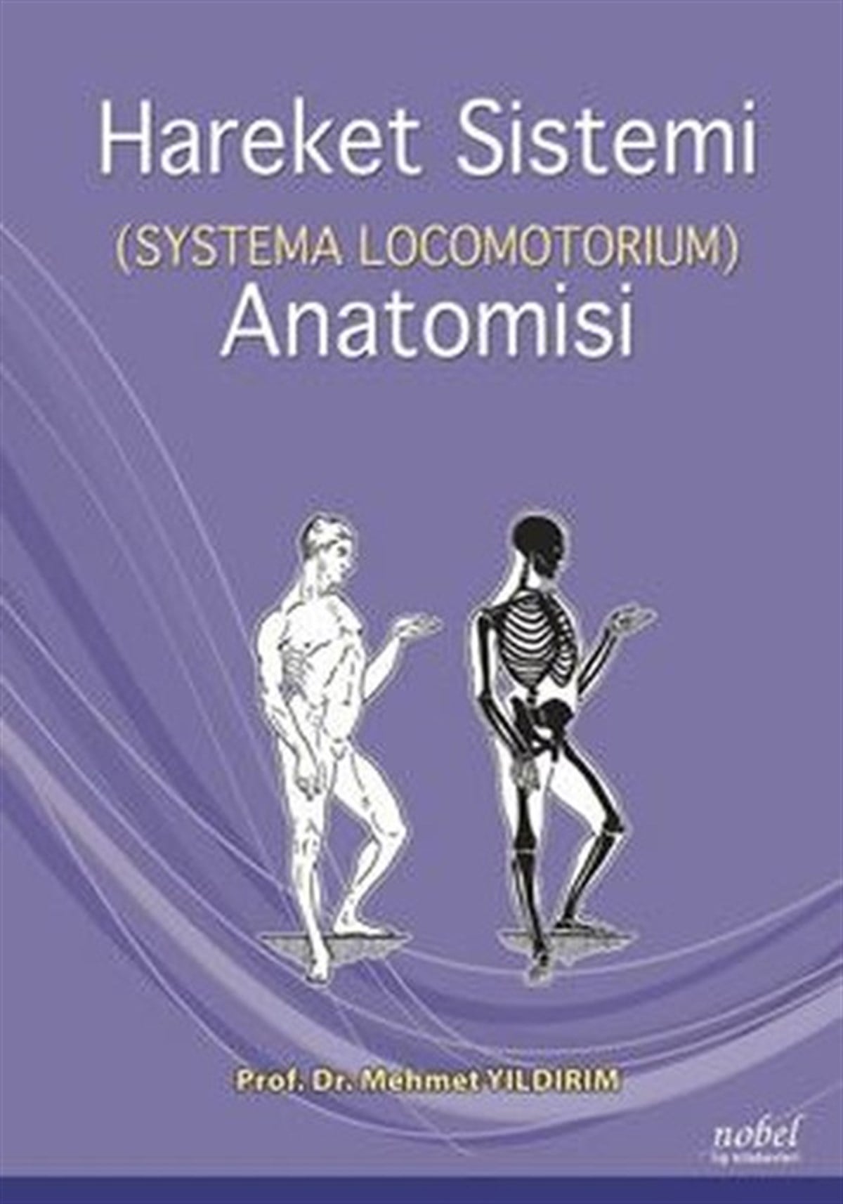 KolektifTıpHareket Sistemi Anatomisi - Systema Locomotorıum