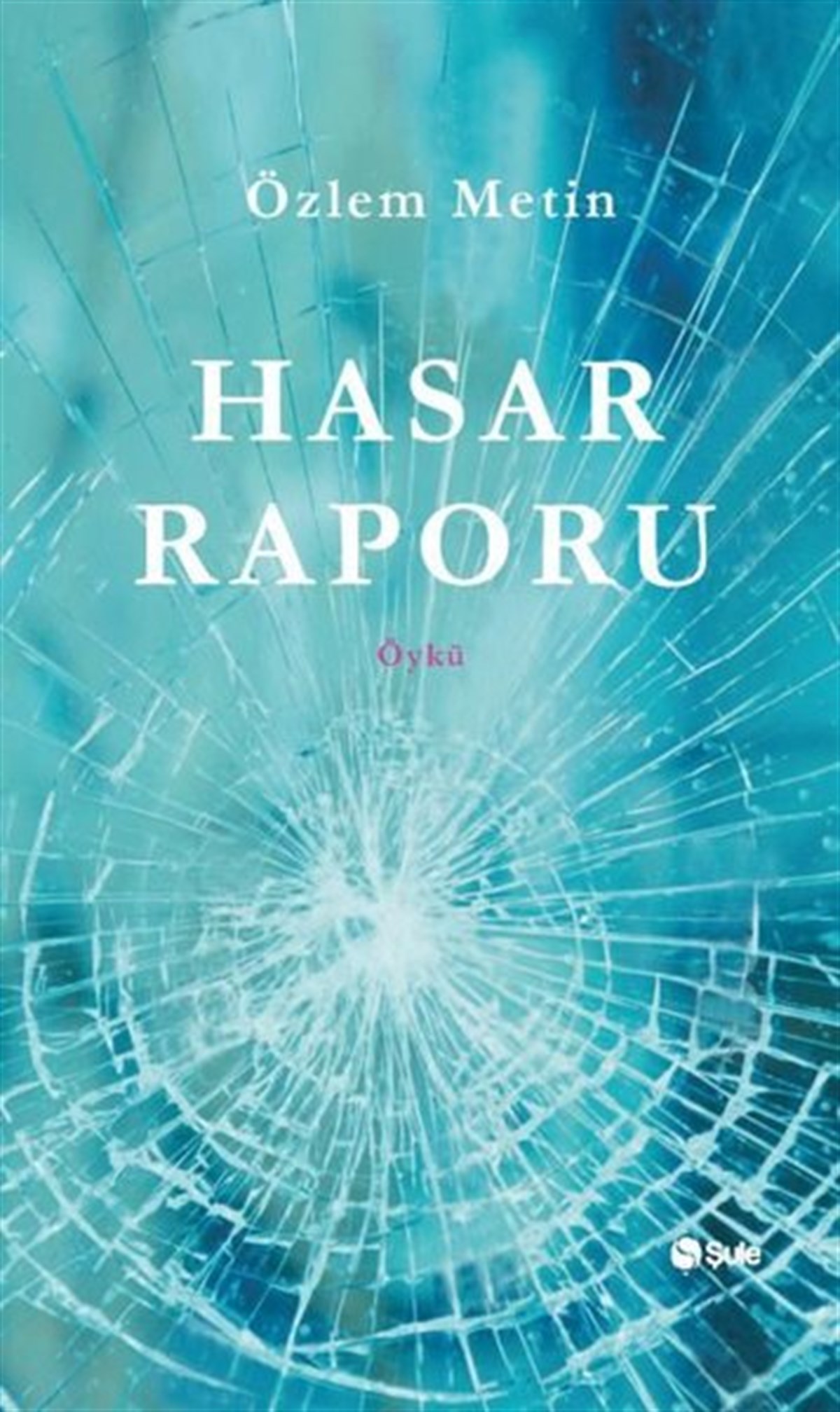 Özlem MetinTürkiye RomanHasar Raporu