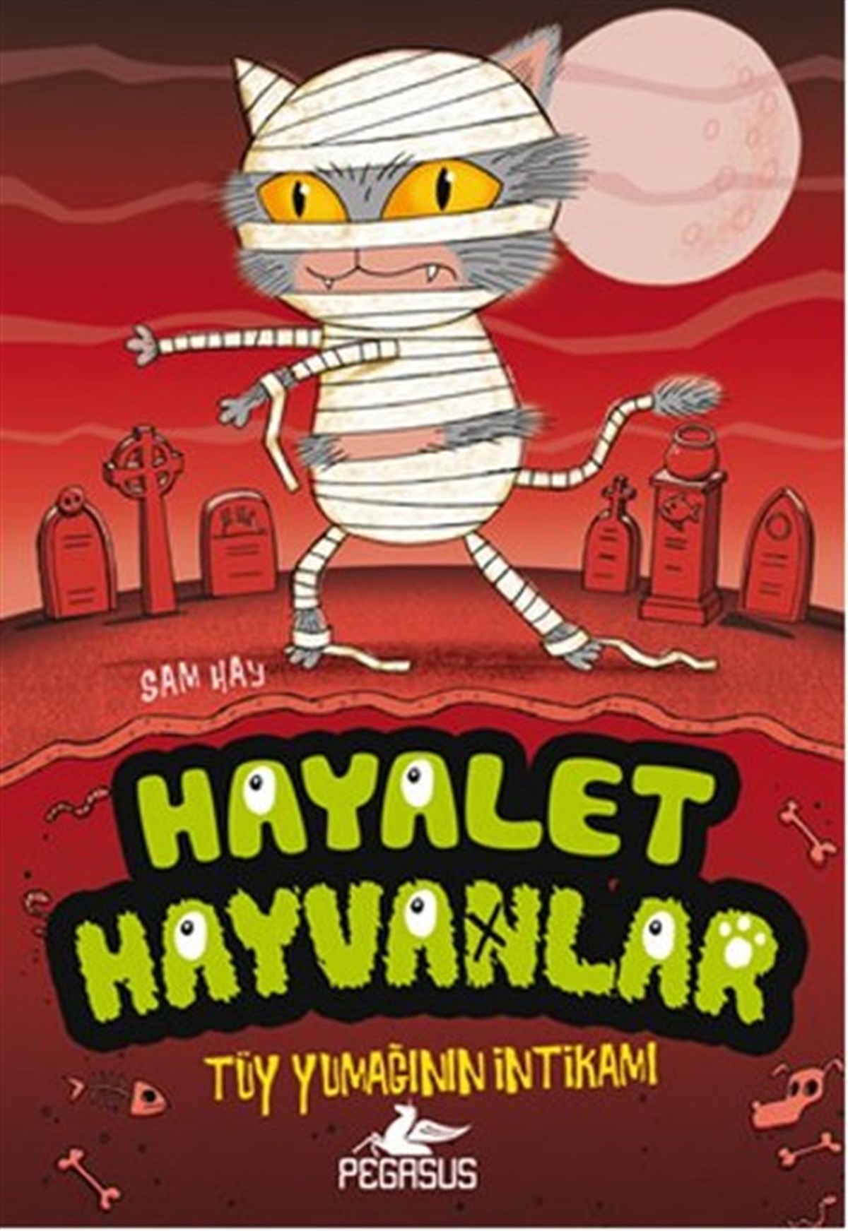 Pınar YıldızMärchenbücher Hayalet Hayvanlar 2 - Tüy Yumağının İntikamı
