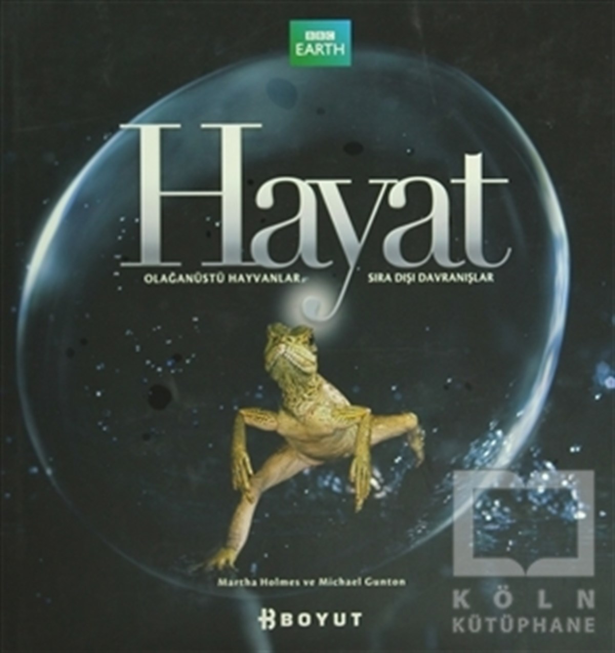 Hayat