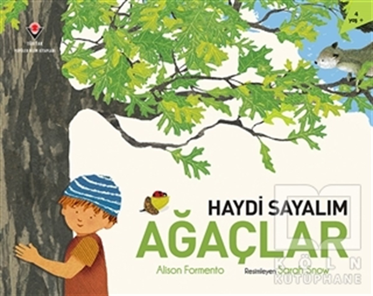 Alison FormentoOkul Öncesi Çocuk KitaplarıHaydi Sayalım - Ağaçlar