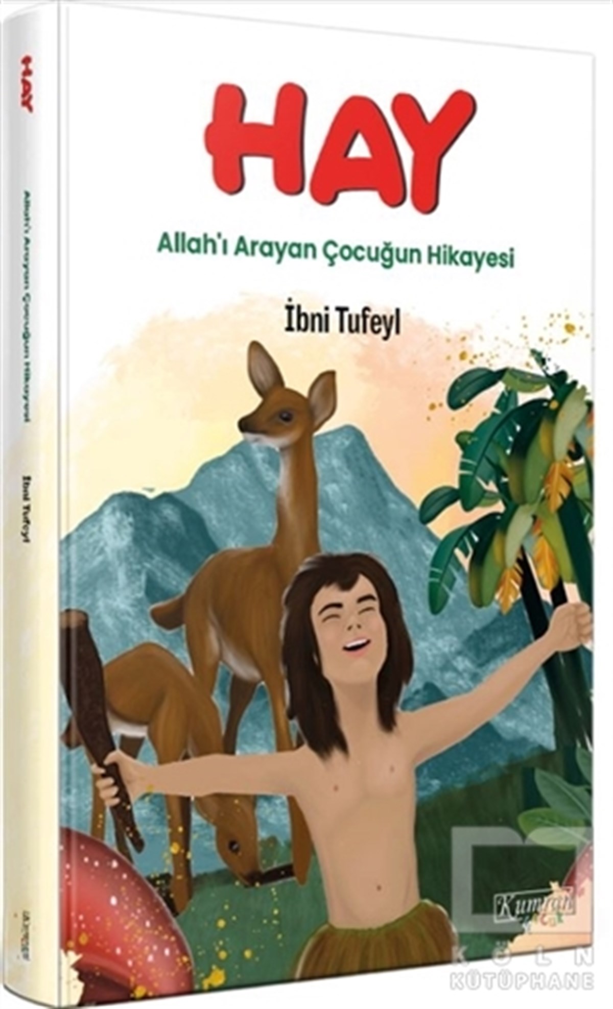 İbni TufeylÇocuk RomanlarıHay