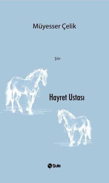 Müyesser ÇelikTürk ŞiiriHayret Ustası