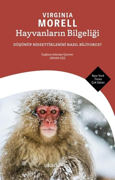 Virginia MorellPopüler Bilim KitaplarıHayvanların Bilgeliği: Düşünüp Hissettiklerini Nasıl Biliyoruz?
