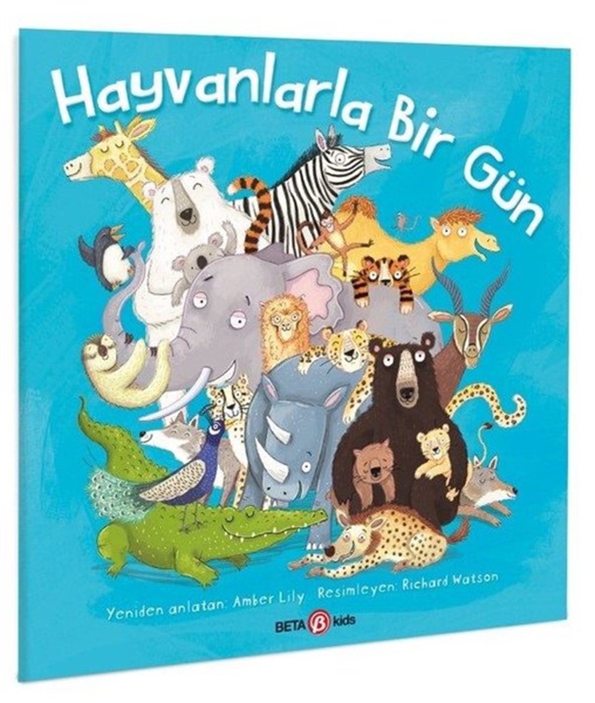 Amber LilyEgitim Etkinlik KitaplariHayvanlarla Bir Gün