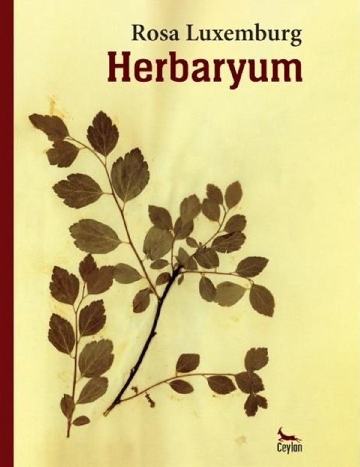 Rosa LuxemburgBotanikHerbaryum