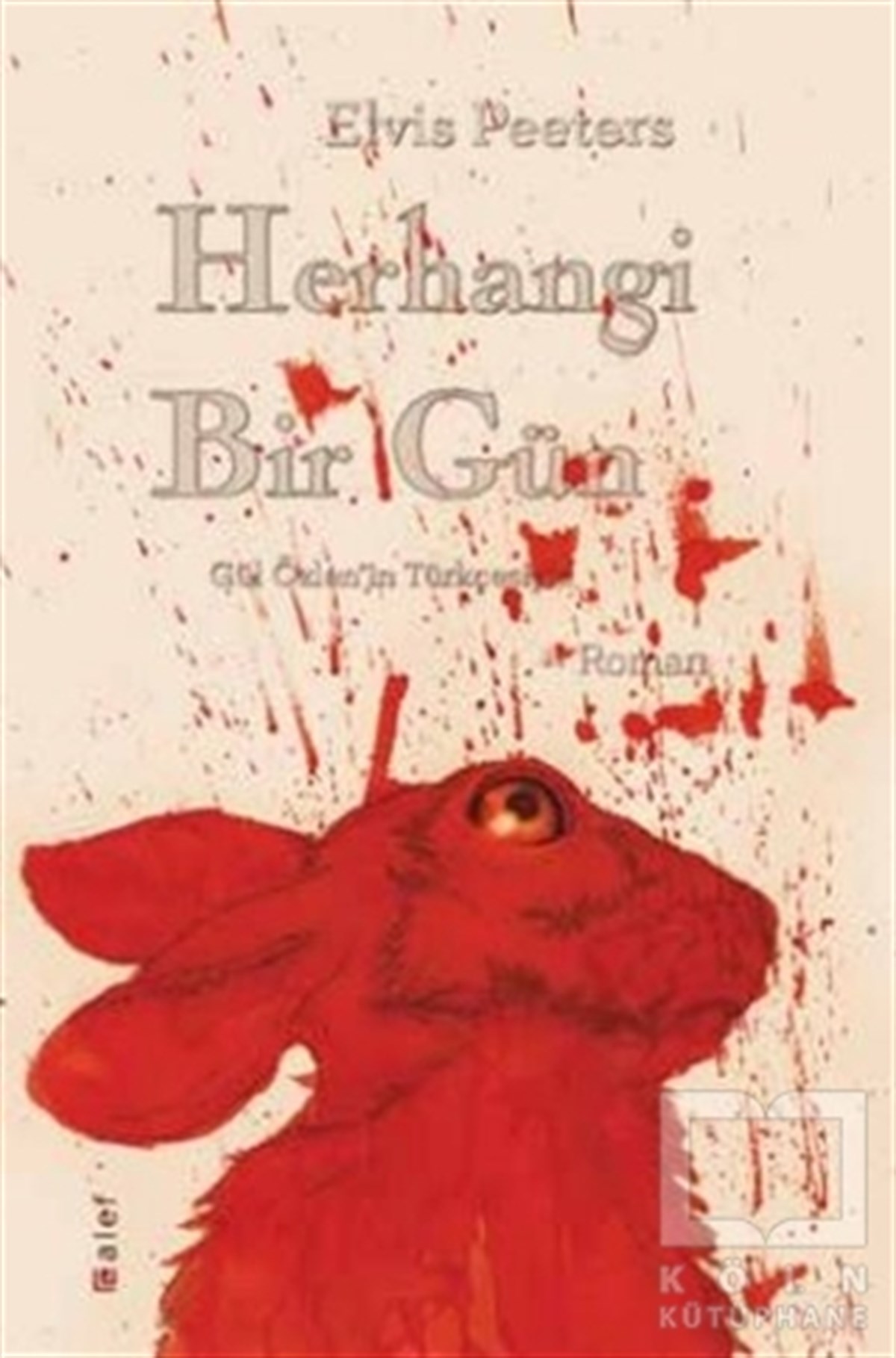 Herhangi Bir Gün