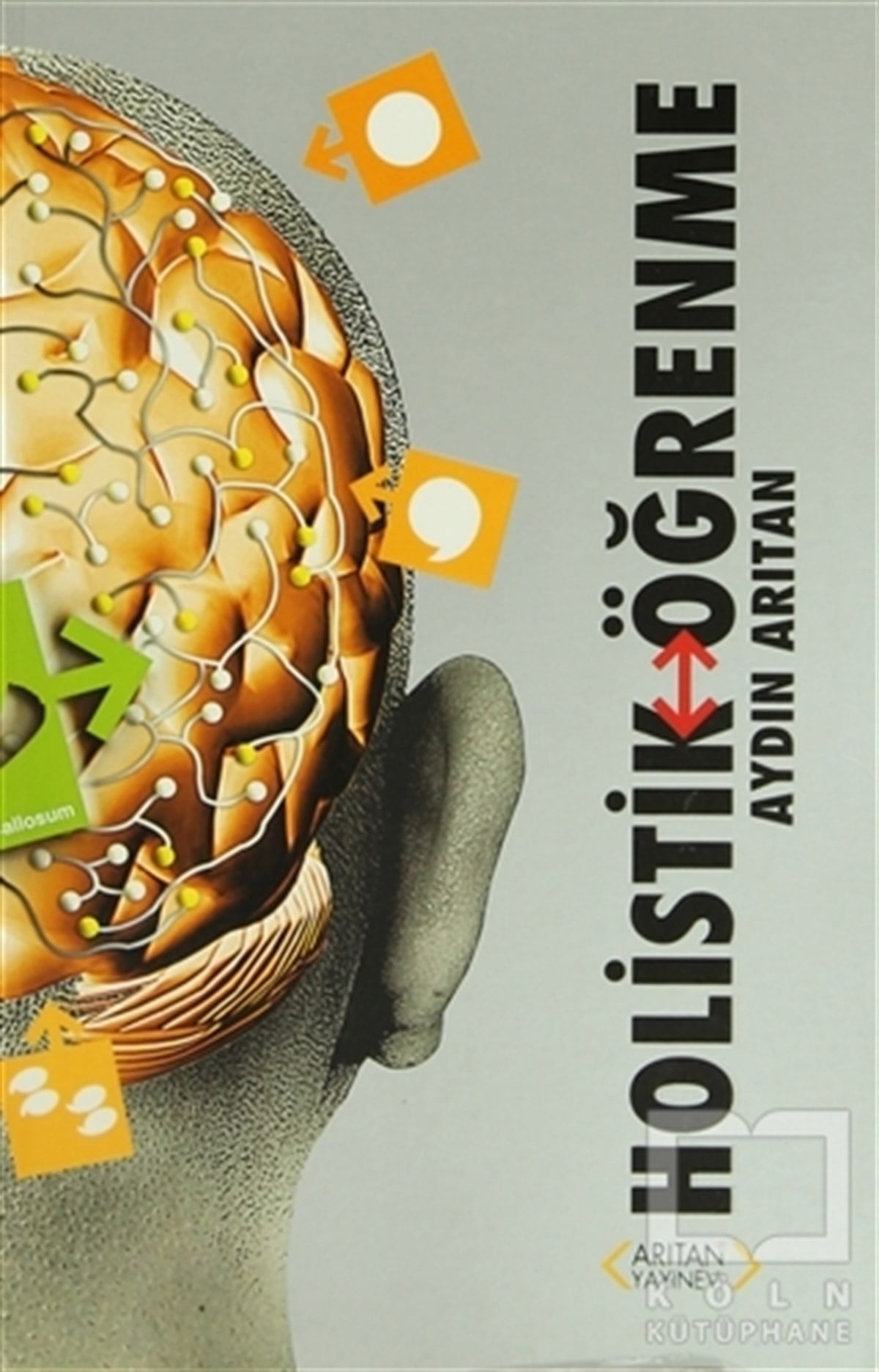 Holistik Öğrenme