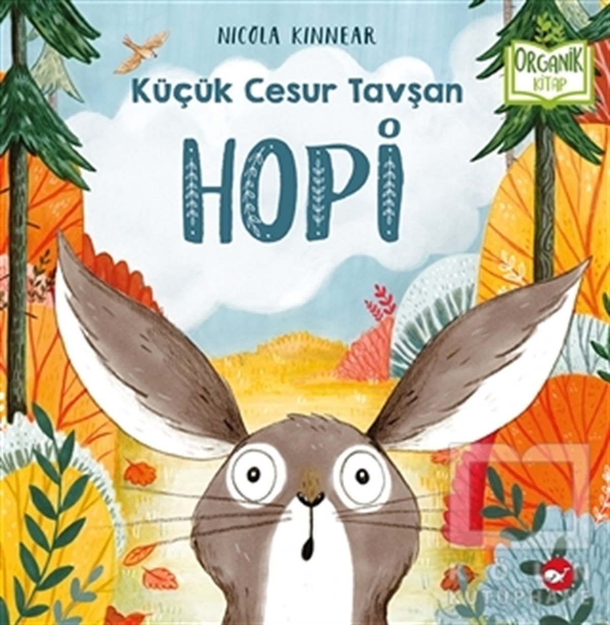 Nicola KinnearHikayelerHopi - Küçük Cesur Tavşan