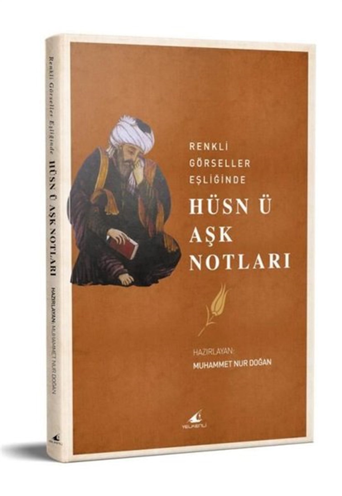 KolektifTasavvuf KitaplarıHüsn ü Aşk Notları - Renkli Görseller Eşliğinde