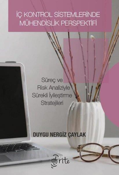 Duygu Nergiz ÇaylakMühendislikİç Kontrol Sistemlerinde Mühendislik Perspektifi - Süreç ve Risk Analizleriyle Sürekli İyileştirme S