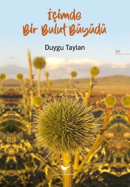 Duygu TaylanTürk Şiiriİçimde Bir Bulut Büyüdü