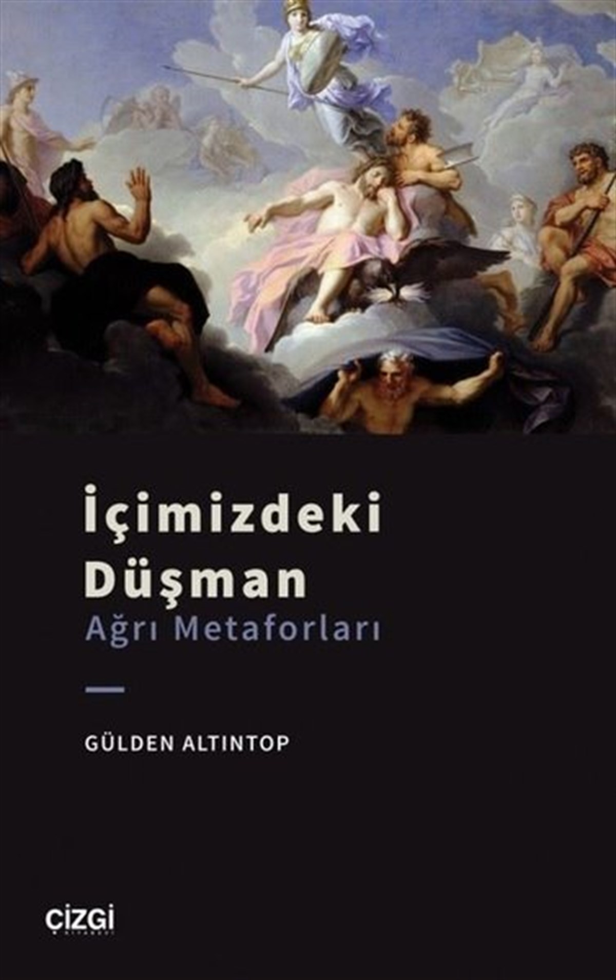 Gülden AltıntopEleştiri & Kuram & İnceleme Kitaplarıİçimizdeki Düşman - Ağrı Metaforları