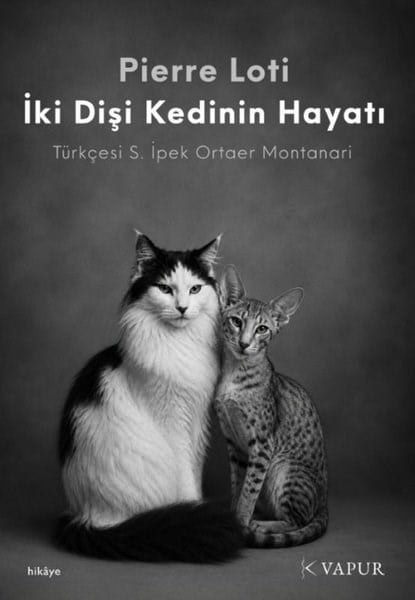Pierre LotiDünya Romanİki Dişi Kedinin Hayatı