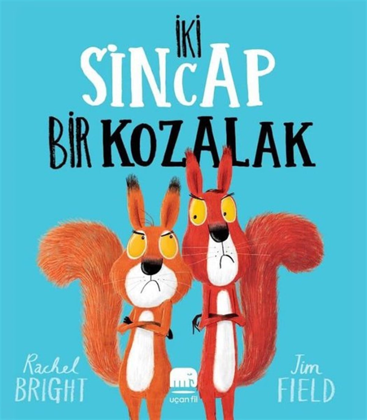 Rachel BrightEgitim Etkinlik Kitaplariİki Sincap Bir Kozalak