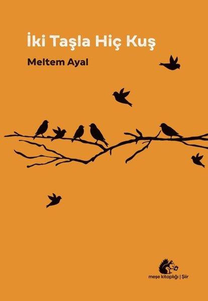 Meltem AyalTürk Şiiriİki Taşla Hiç Kuş