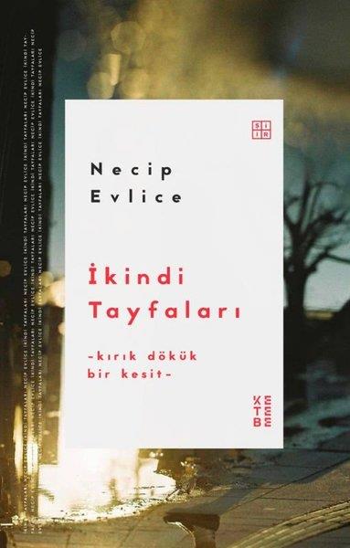Necip EvliceTürk Şiiriİkindi Tayfaları - Kırık Dökük Bir Kesit