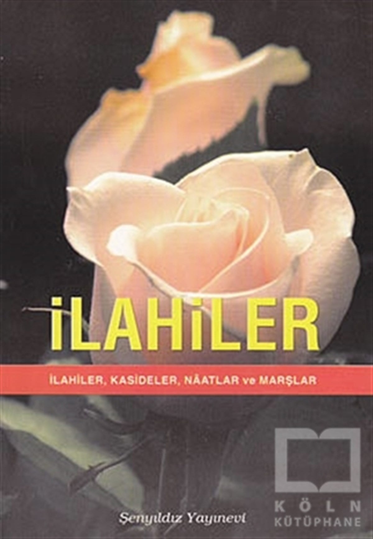 DerlemeAraştırma-İncelemeİlahiler