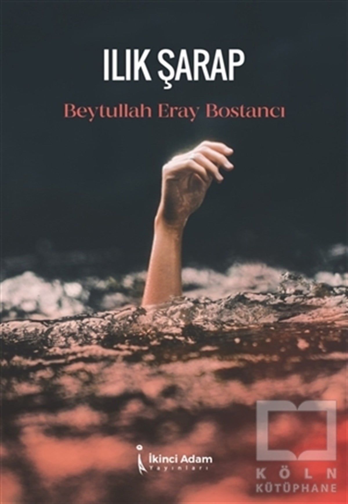 Beytullah Eray BostancıDeneme KitaplarıIlık Şarap