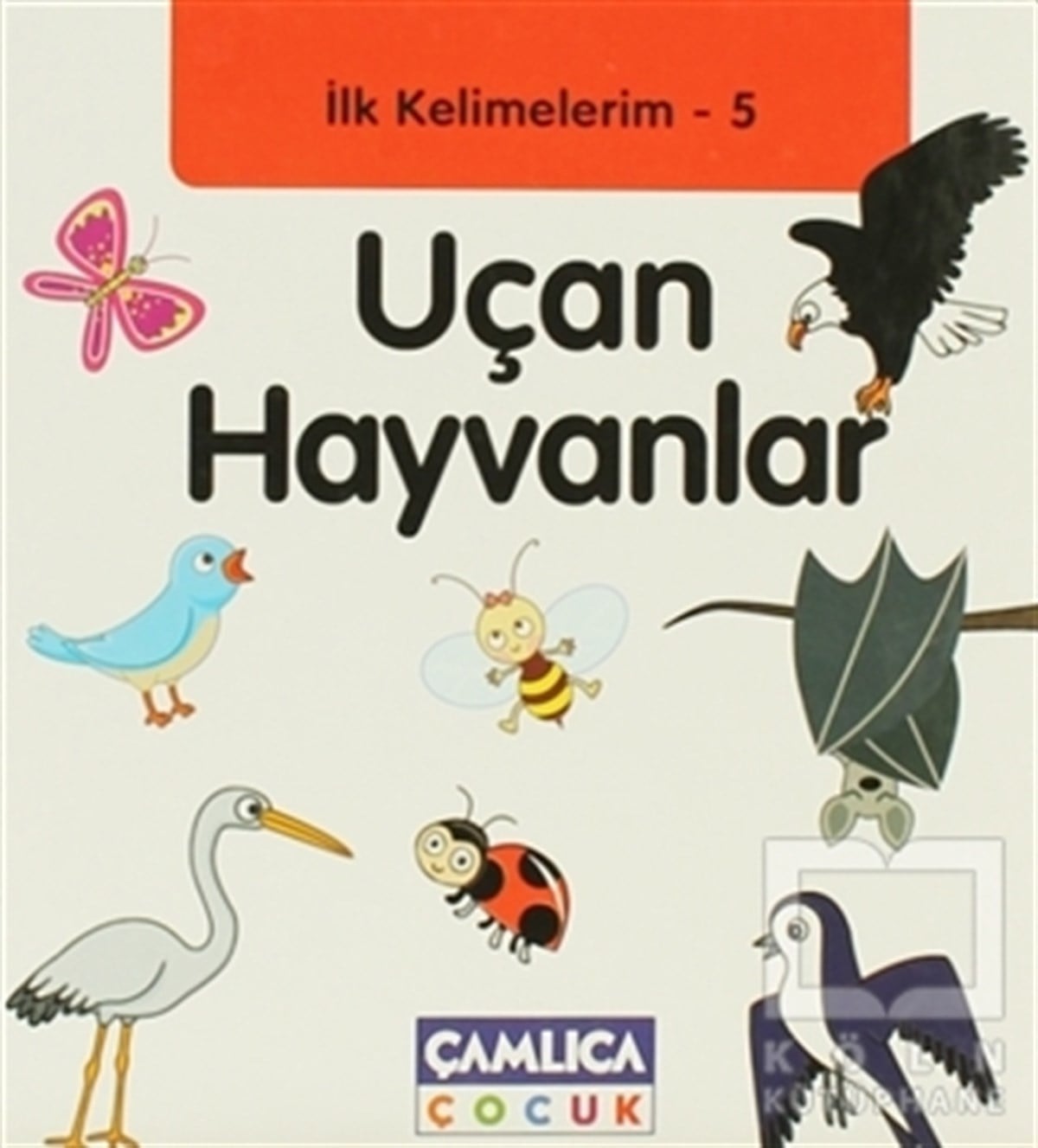 Bilal GezerOkul Öncesi Resimli Kitaplarİlk Kelimelerim 5: Uçan Hayvanlar