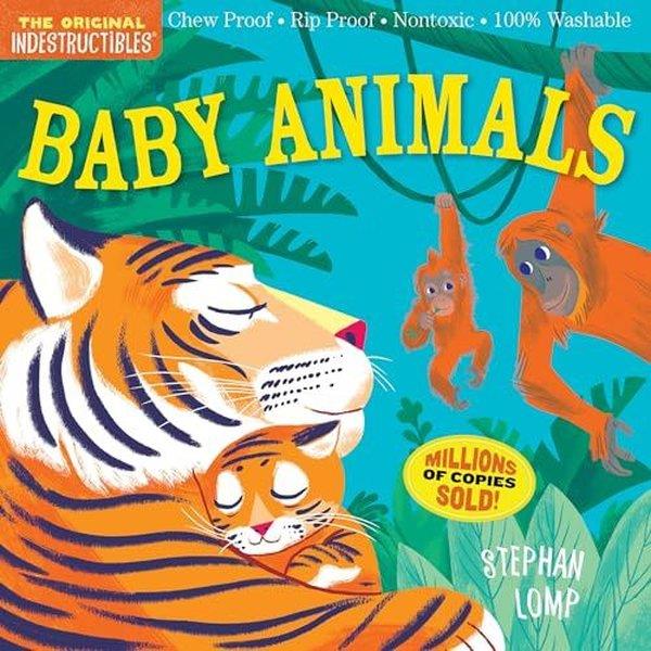 Amy PixtonChildren InterestIndestructibles: Baby Animals