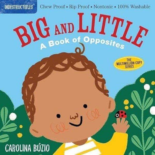 Amy PixtonChildren InterestIndestructibles: Big and Little