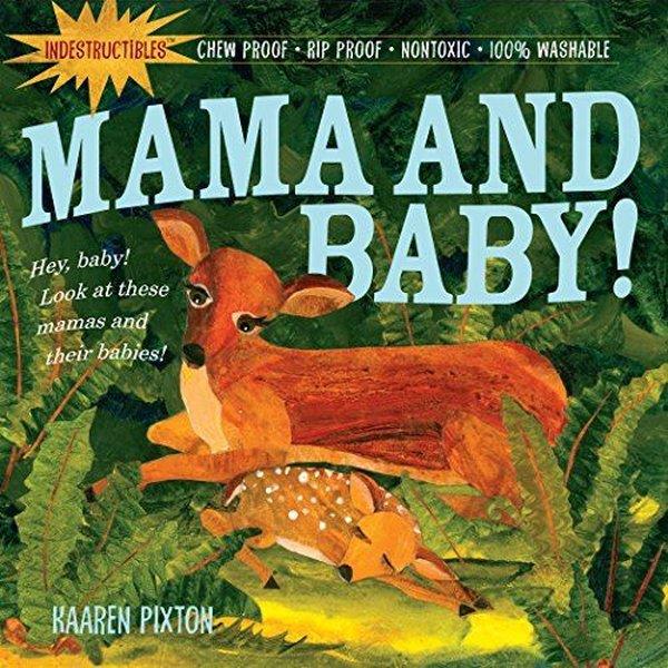 Amy PixtonChildren InterestIndestructibles: Mama and Baby!