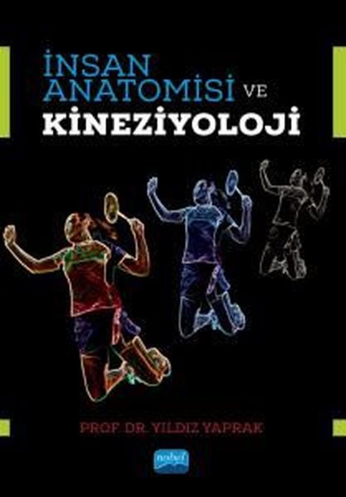 Yıldız YaprakTipİnsan Anatomisi ve Kineziyoloji