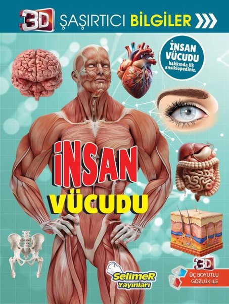 KolektifÇocuk Bilim Kitaplarıİnsan Vücudu - 3D Şaşırtıcı Bilgiler