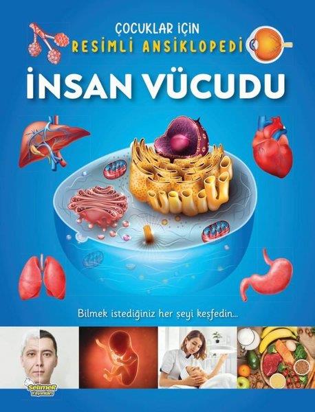 KolektifÇocuk Bilim Kitaplarıİnsan Vücudu - Çocuklar İçin Resimli Ansiklopedi