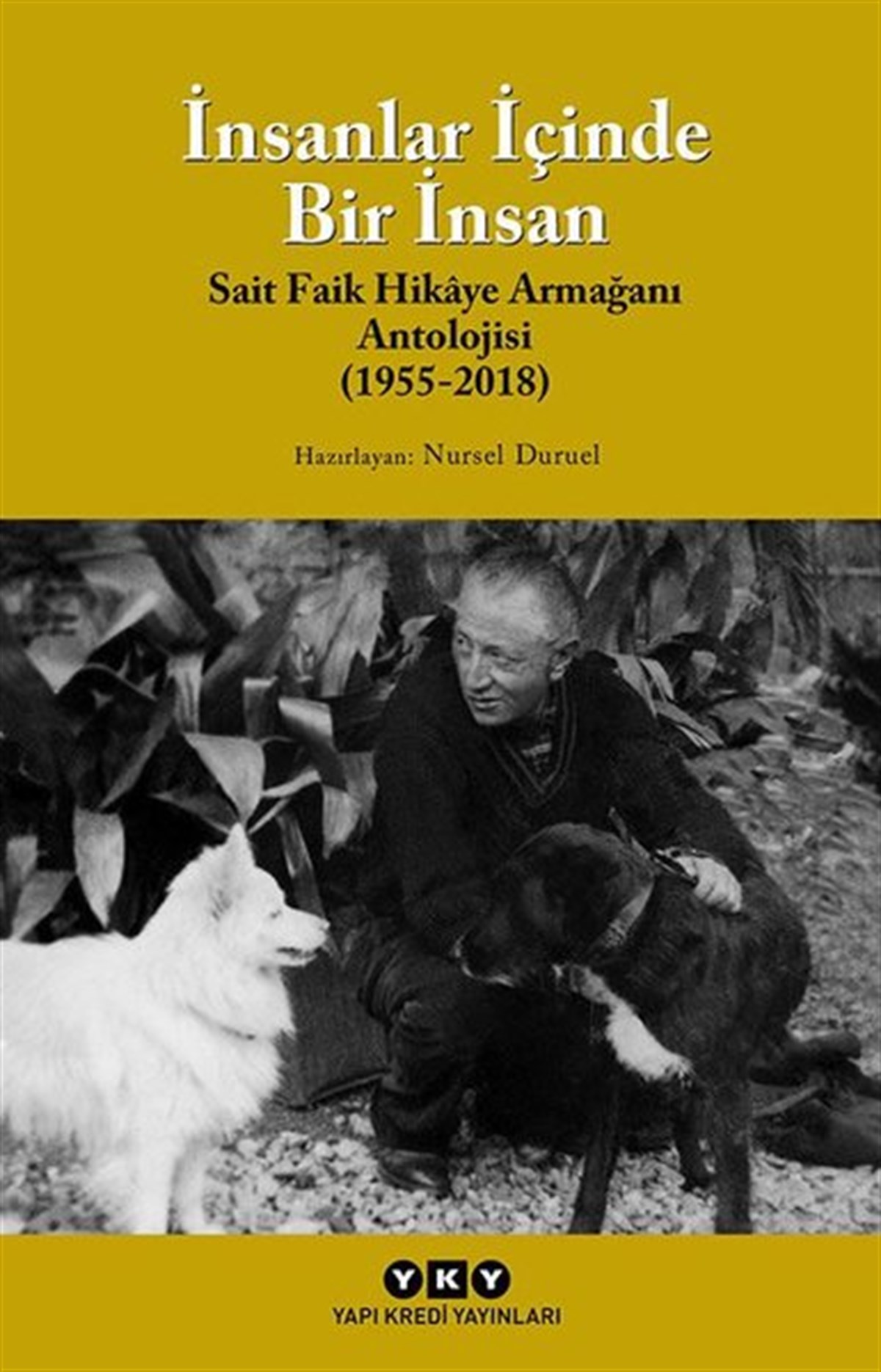 Nusret DuruelTürkiye Romanİnsanlar İçinde Bir İnsan (Sait Faik Hikaye Armağan Antolojisi (1955-2018)