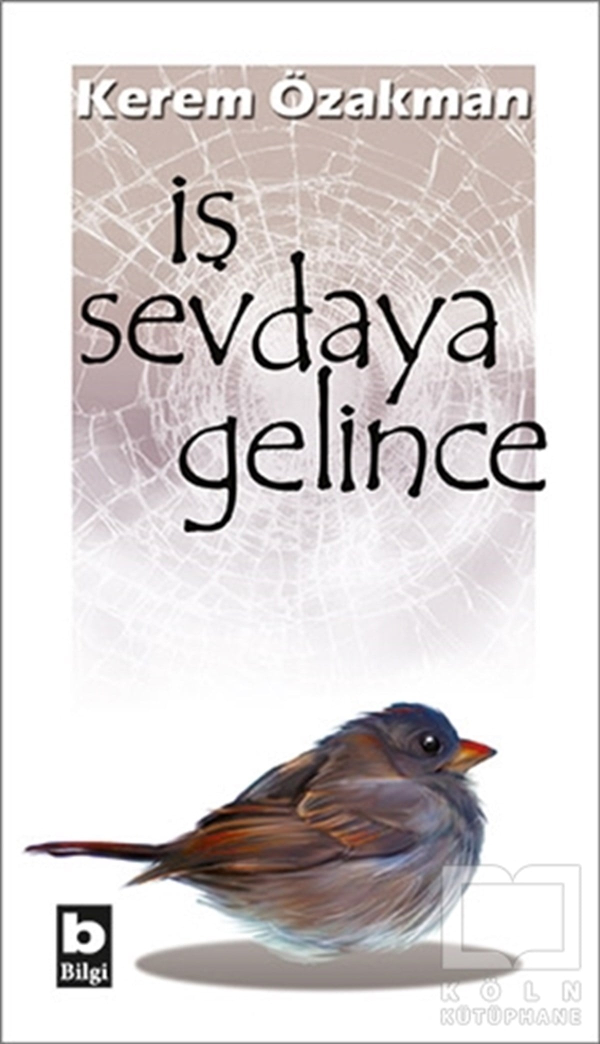 Kerem ÖzakmanŞiirİş Sevdaya Gelince