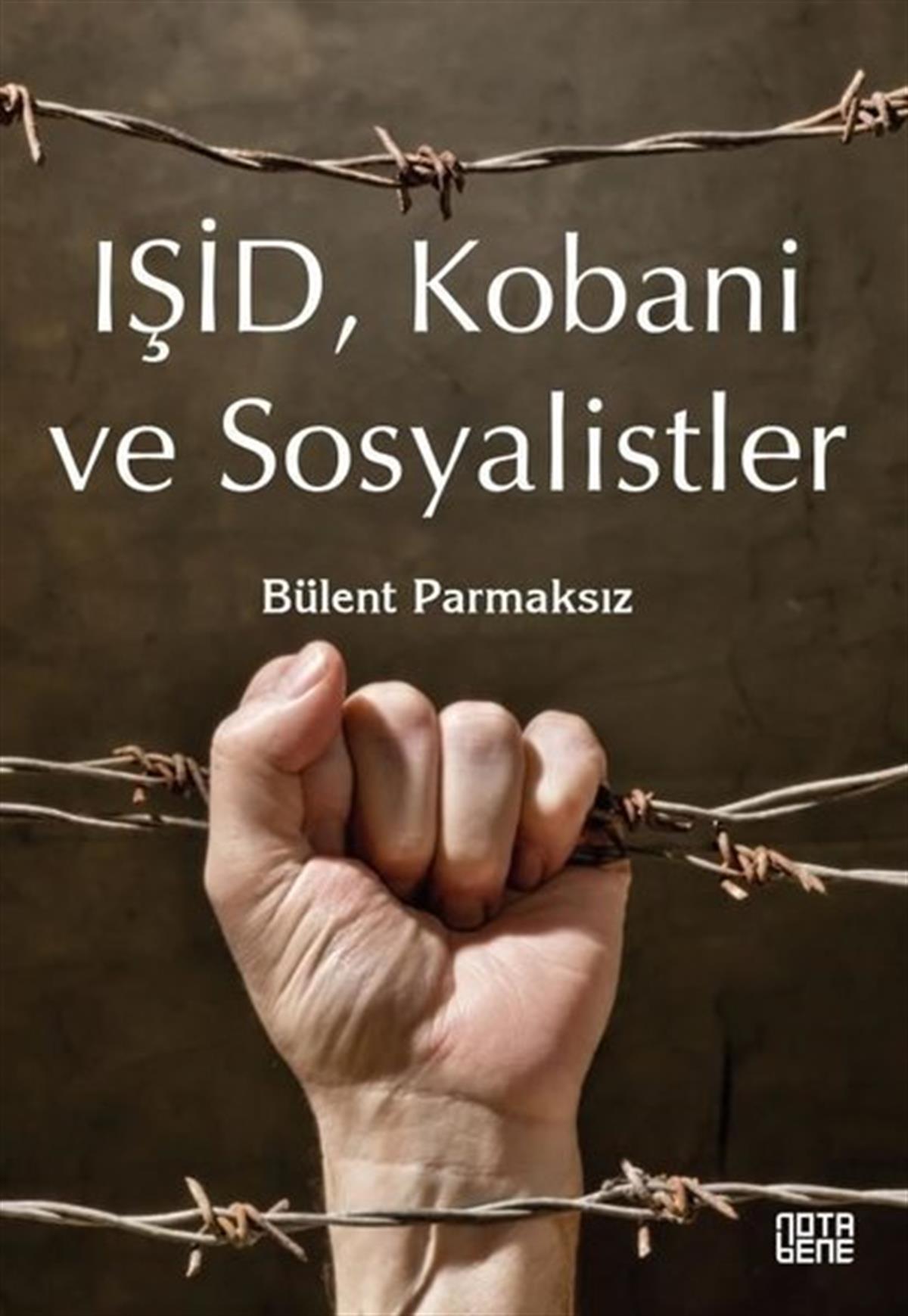 Bülent ParmaksızDünya Siyaseti ve PolitikasıIŞİD, Kobani ve Sosyalistler
