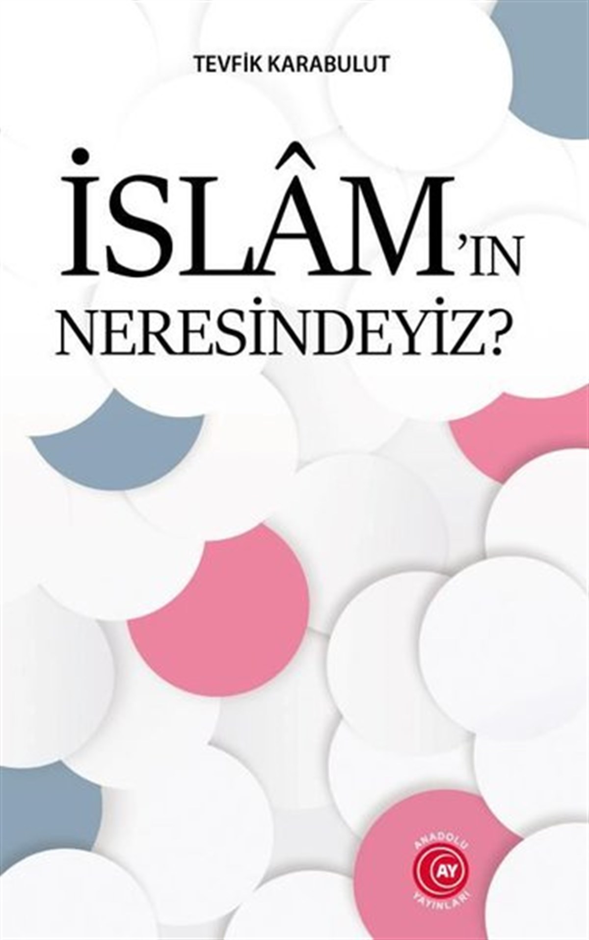 Tevfik Karabulutİslami Kitaplarİslam'ın Neresindeyiz?